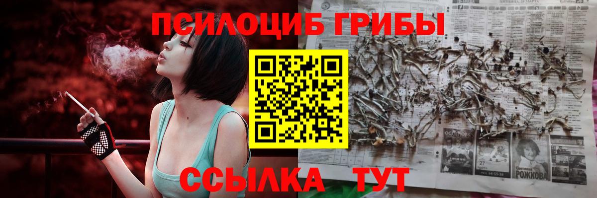 Коркино  Псилоцибиновые грибы Psilocybine cubensis  Вход с VPN  магазин    Галлюциногенные грибы Psilocybine cubensis 