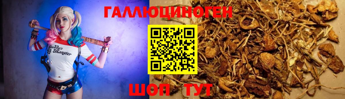 Галлюциногенные грибы MAGIC MUSHROOMS Коркино